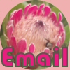 Email me