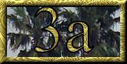 3a