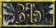 3b