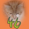 4b