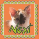 Next
